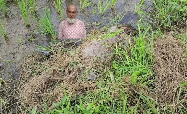 গোলাপগঞ্জে ক্ষেতের জমি থেকে বৃদ্ধের লাশ উদ্ধার