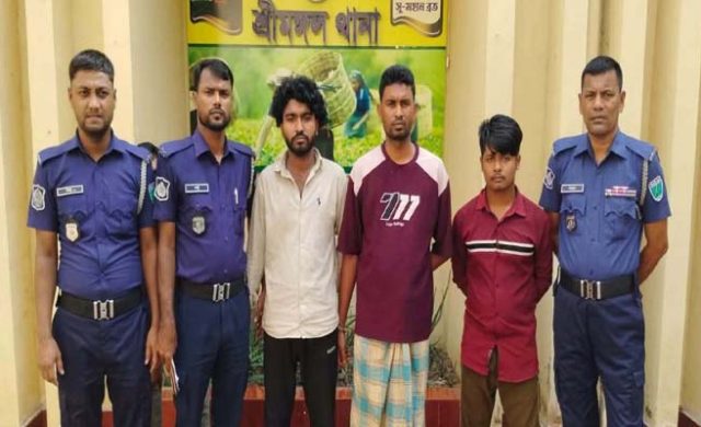 শ্রীমঙ্গলে কিশোরী গৃহপরিচারিকাকে অপহরণের পর গণধর্ষণ , গ্রেপ্তার ৩