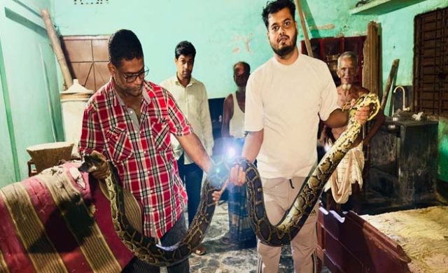 শ্রীমঙ্গলে খাটের নিচে ১৬ ফুটের অজগর