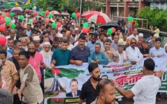 বড়লেখায় বিএনপির ৪৮তম প্রতিষ্ঠাবার্ষিকীতে বর্ণাঢ্য র‌্যালি