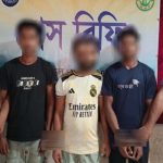 সিলেটে পিকআপে মিলল ২৩ লাখ টাকার আইপিএস ও ব্যাটারি, আটক তিন