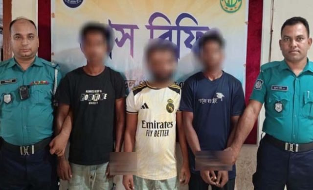 সিলেটে পিকআপে মিলল ২৩ লাখ টাকার আইপিএস ও ব্যাটারি, আটক তিন