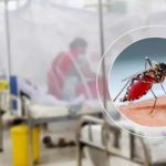 ডেঙ্গুতে আরও ৩ মৃত্যু, হাসপাতালে ভর্তি ১৪৩২