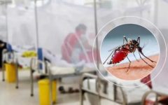 ডেঙ্গুতে আরও ৩ মৃত্যু, হাসপাতালে ভর্তি ১৪৩২