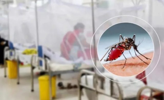 ডেঙ্গুতে আরও ৩ মৃত্যু, হাসপাতালে ভর্তি ১৪৩২