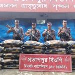 সিলেট সীমান্তে ৪৬ লাখ টাকার চোরাচালান ধরল বিজিবি