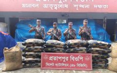 সিলেট সীমান্তে ৪৬ লাখ টাকার চোরাচালান ধরল বিজিবি