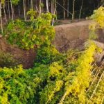 কুশিয়ারার ভাঙনে আতঙ্ক: ‘কখন জানি ঘর নদীত যায়গি’
